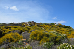 Santa Teresa di Gallura 